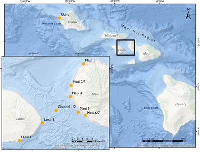 Investigating Spinner Dolphin (Stenella longirostris) Occurrence and Acoustic Activity in the Maui Nui Region